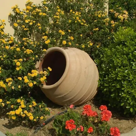 Ktima Nikola * Marmari (Evia)