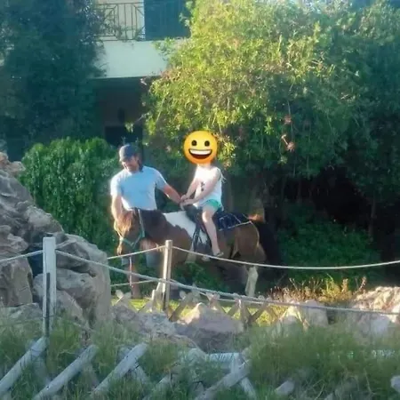 Apartmán Ktima Nikola Marmari (Evia)