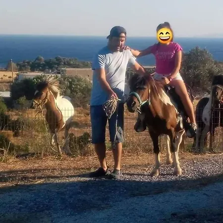 Ktima Nikola
